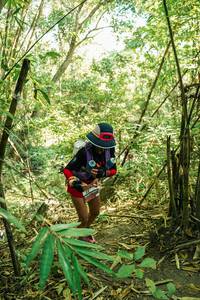 BIB: 
                            <button type="button" onclick="openModal(28159972)" class="btn btn-primary btn-sm float-right btn-popup" data-toggle="modal" data-target=".modal-high-quality">
                        <i class="fas fa-shopping-cart"></i> Add to Cart
                    </button>
                                            <button type="button" onclick="isThisMe(28159972, true)" class="btn btn-success btn-sm float-right btn-popup btn-isme hidden" data-toggle="tooltip" data-placement="bottom" title="นี่คือรูปของคุณใช่ไหม คลิกที่นี่เพื่อเอาเข้าอัลบั้ม">
                        <i class="fas fa-plus"></i> Add to album
                    </button>
                    <button type="button" onclick="isThisMe(28159972, false)" class="btn btn-warning btn-sm float-right btn-popup btn-isnotme hidden">
                        <i class="fas fa-ban"></i> Remove from album
                    </button>